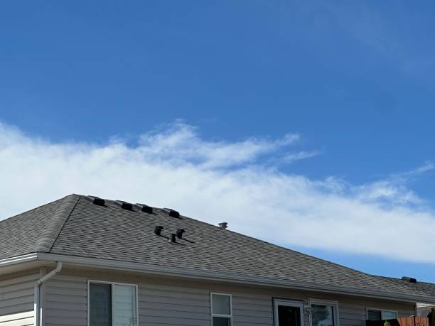 Best Rubber Roofing (EPDM, TPO)  in Chester, PA